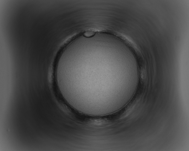 X0000100340540200806191026