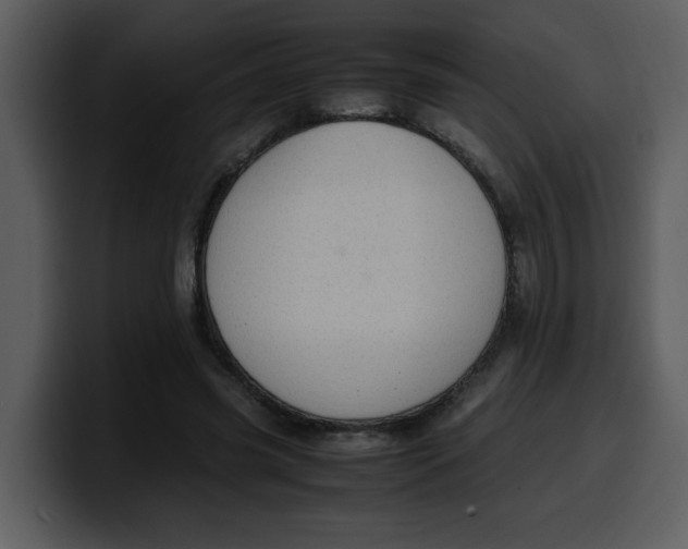 X0000100340541200806191026