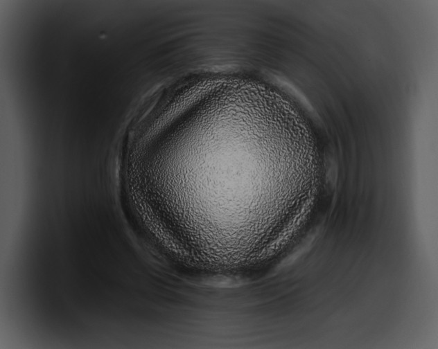 X0000100340542200806191026