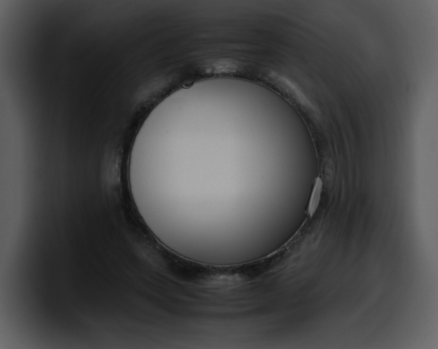 X0000100340543200806191026