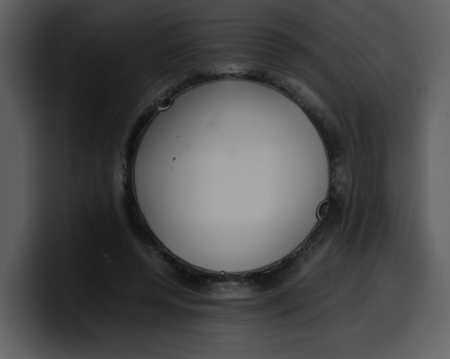 X0000100340544200806191026