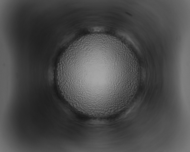 X0000100340545200806191026