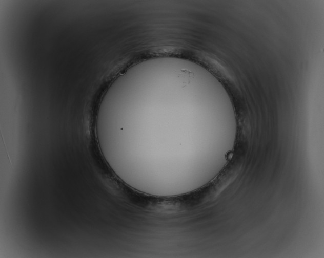 X0000100340546200806191026