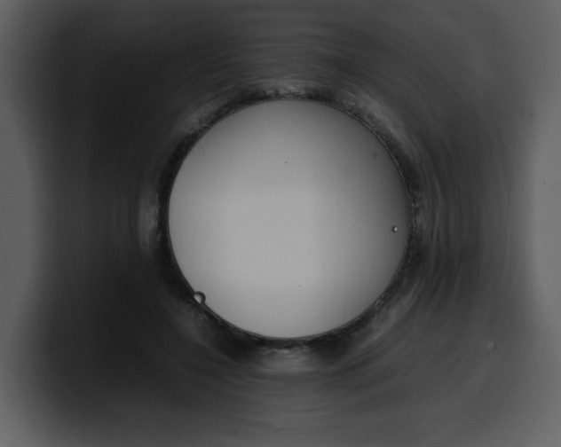 X0000100340548200806191026