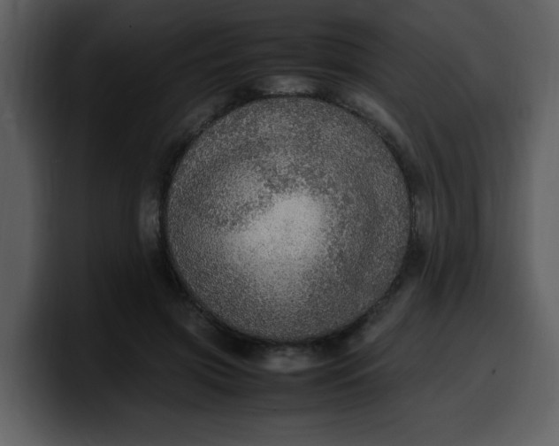 X0000100340549200806191026