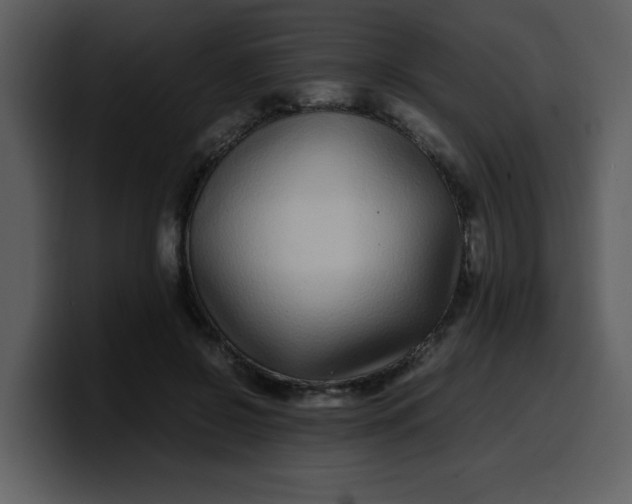 X0000100340550200806191026