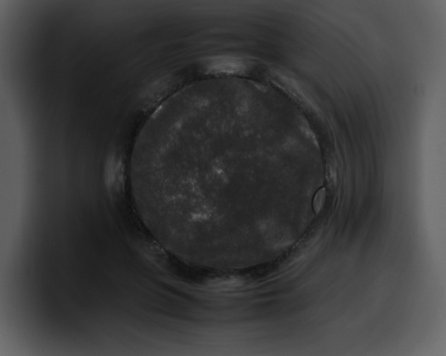 X0000100340551200806191026