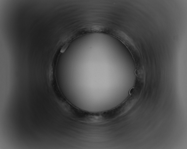 X0000100340552200806191026