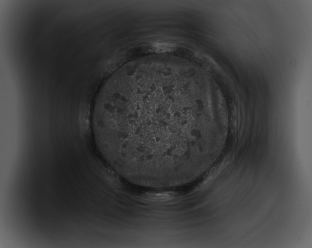 X0000100340553200806191026