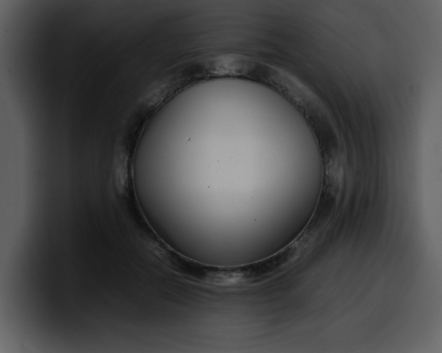 X0000100340554200806191026