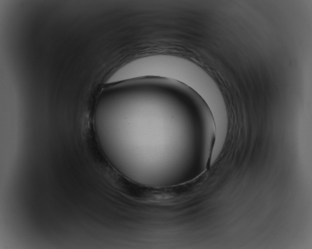 X0000100340555200806191027