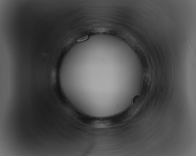 X0000100340556200806191027