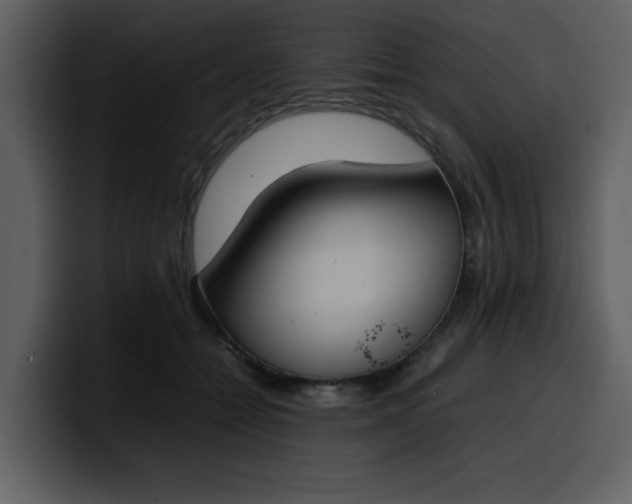 X0000100340558200806191027