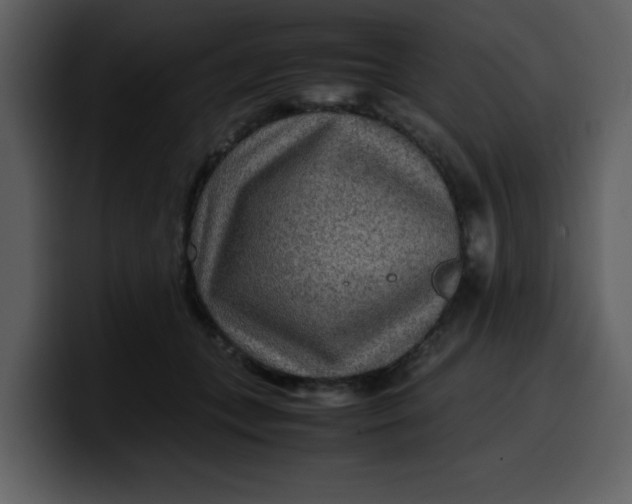 X0000100340559200806191027