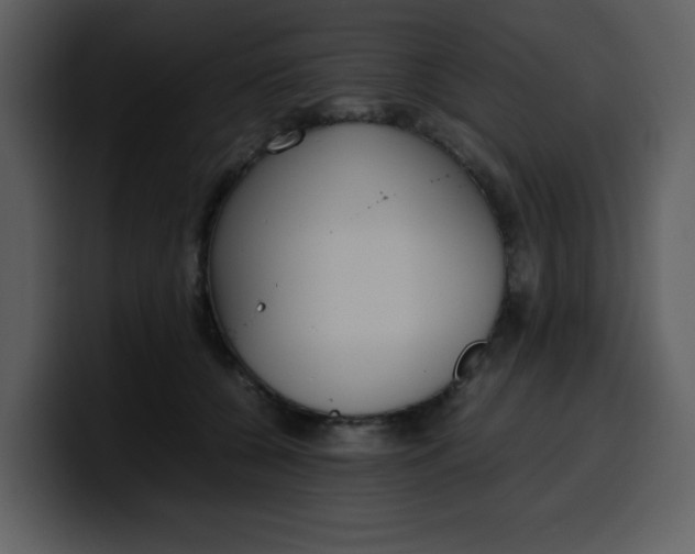 X0000100340560200806191027