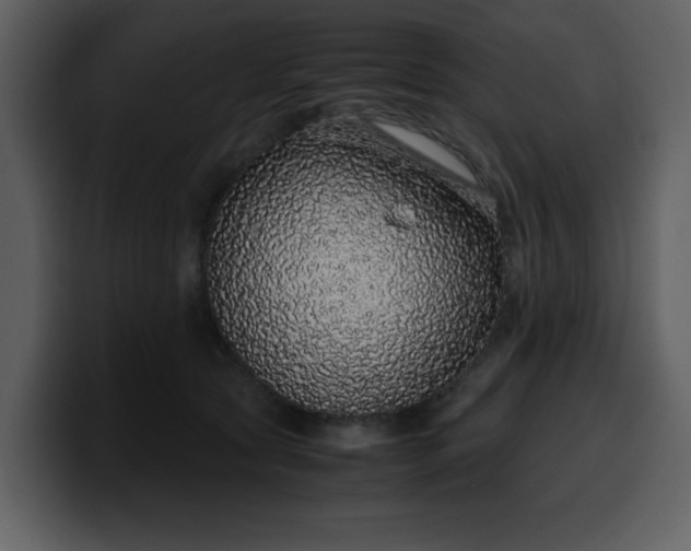 X0000100340561200806191027