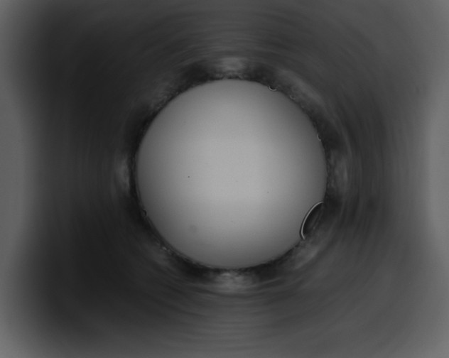 X0000100340562200806191027