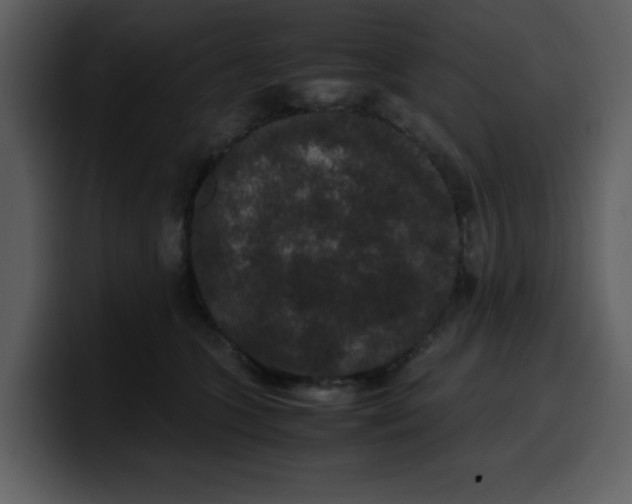 X0000100340563200806191027