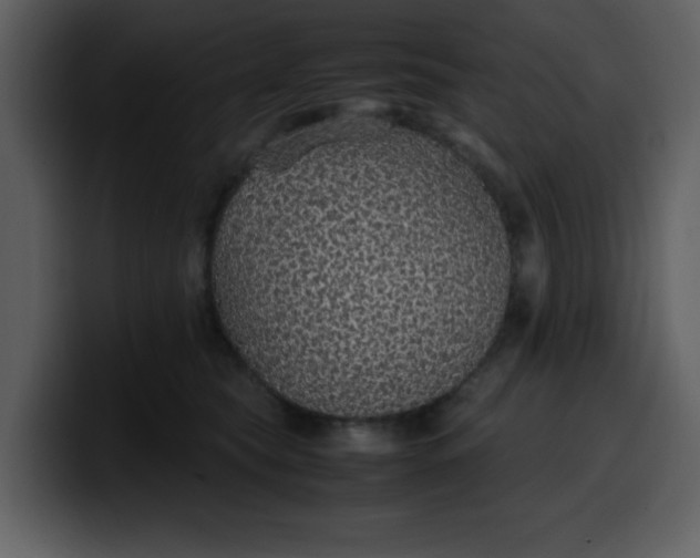 X0000100340565200806191027