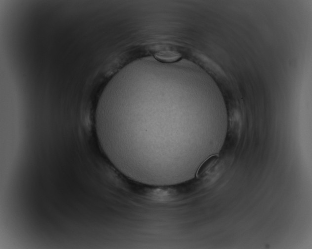 X0000100340566200806191027