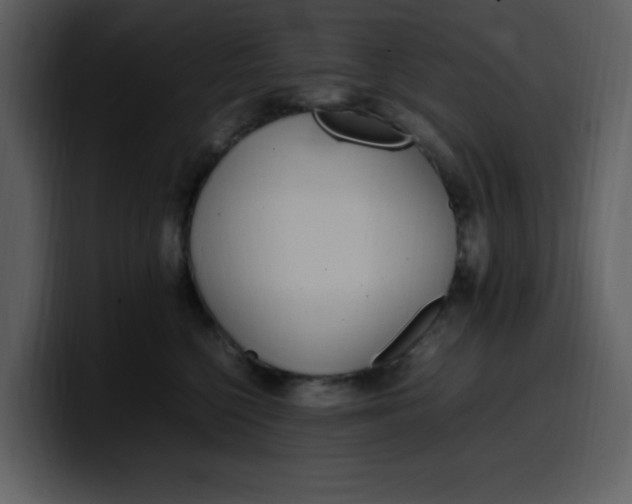 X0000100340568200806191027