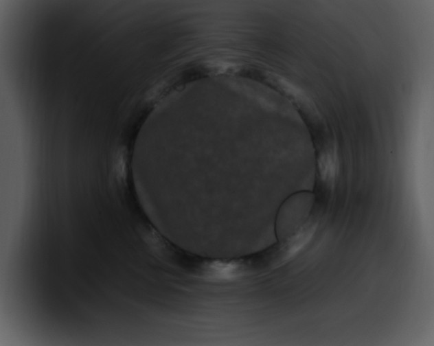 X0000100340570200806191027