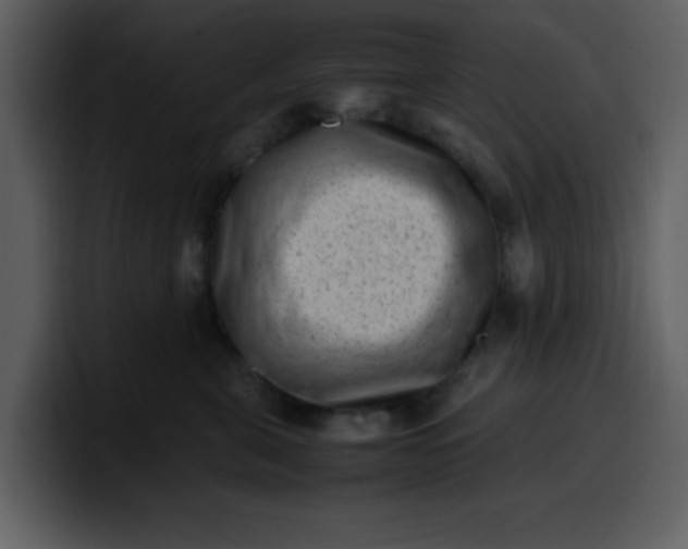 X0000100340571200806191027