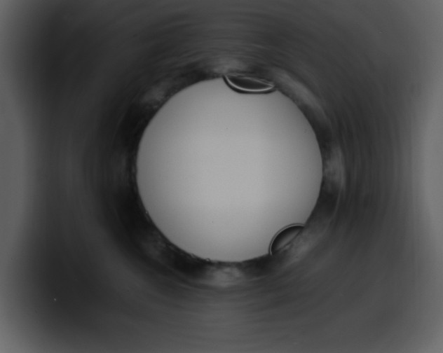 X0000100340572200806191027