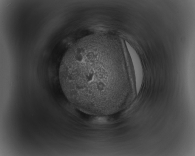 X0000100340573200806191027