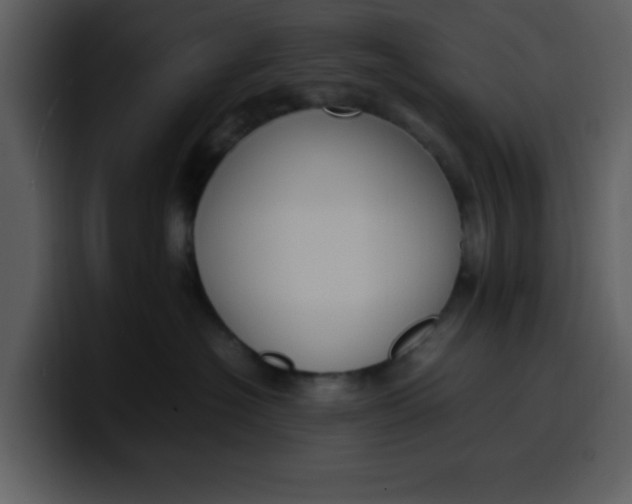 X0000100340574200806191027