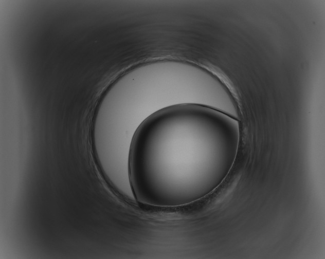 X0000100340577200806191026