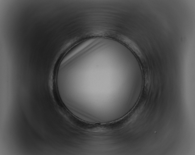 X0000100340578200806191026