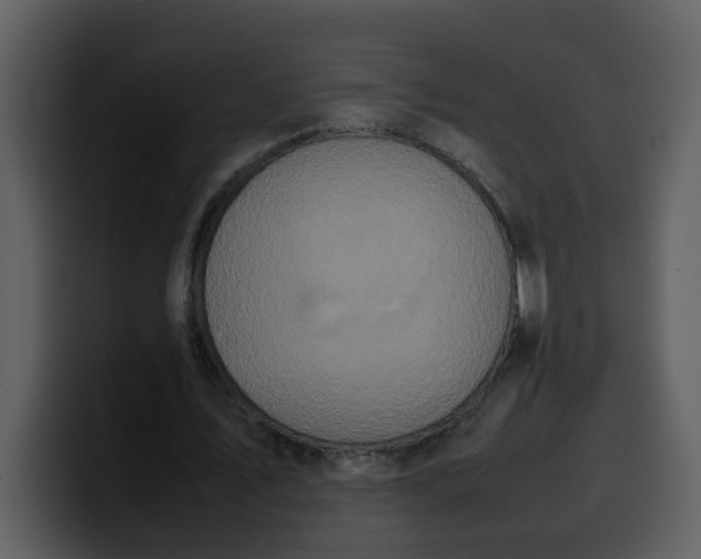 X0000100340579200806191026