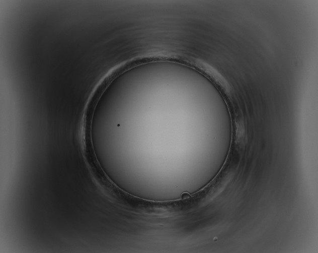 X0000100340580200806191026