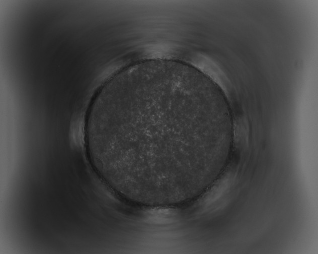 X0000100340581200806191026