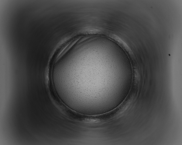 X0000100340582200806191026