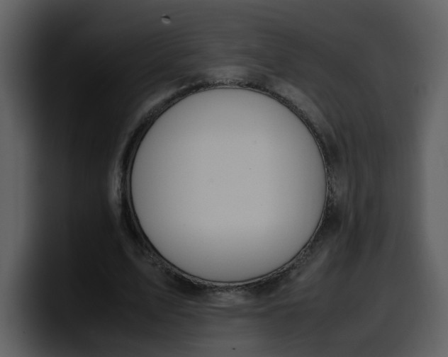 X0000100340583200806191026