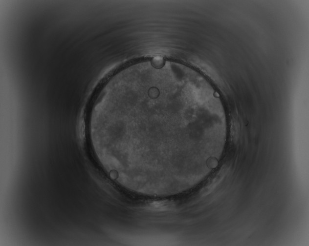 X0000100340584200806191026