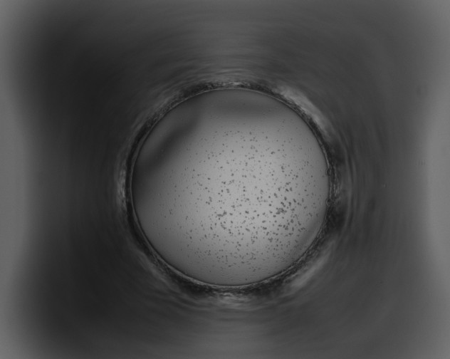 X0000100340585200806191026