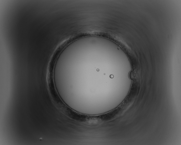 X0000100340587200806191026