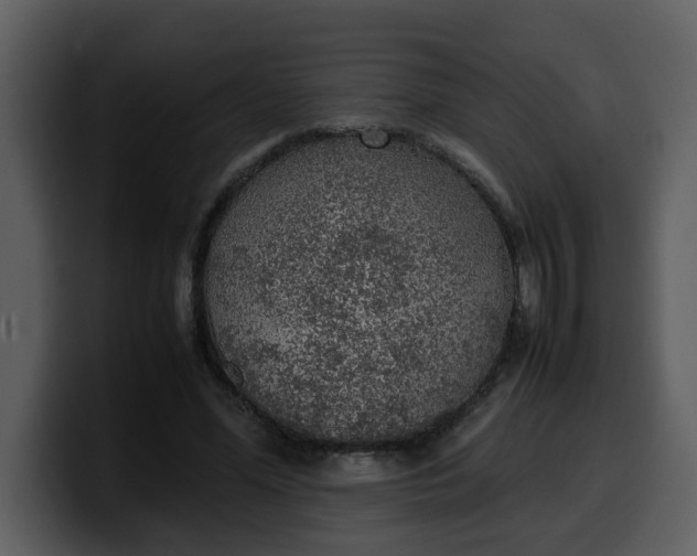 X0000100340588200806191026