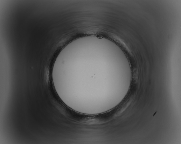 X0000100340589200806191026