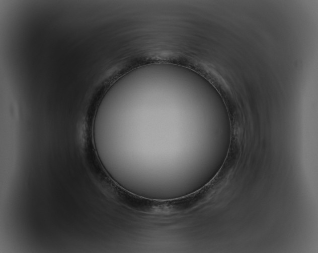 X0000100340591200806191026