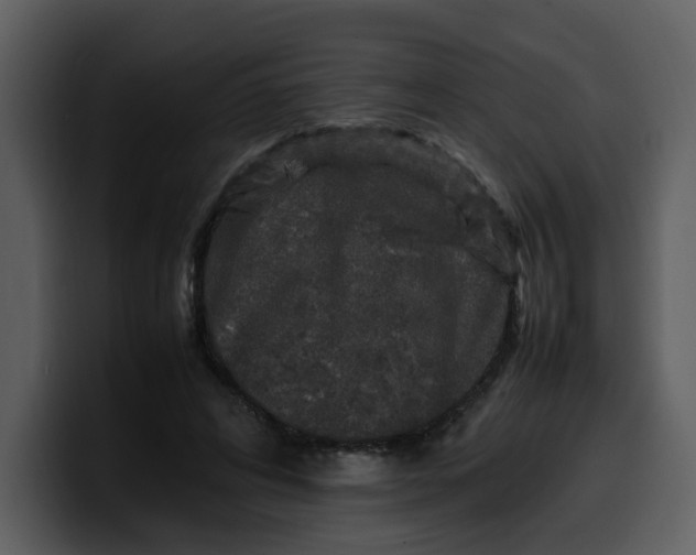 X0000100340592200806191026