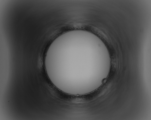 X0000100340593200806191026