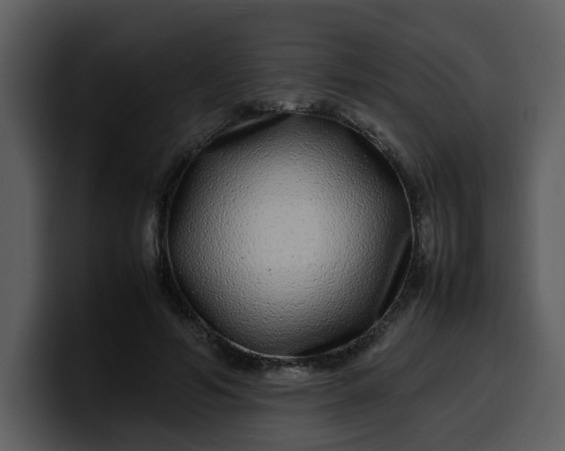 X0000100340594200806191026