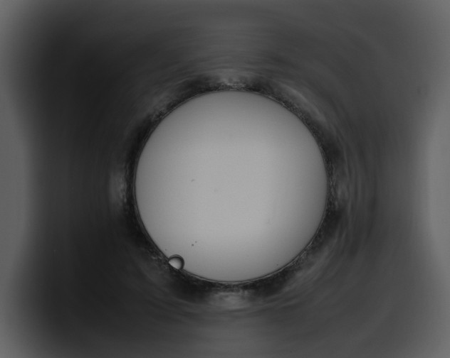 X0000100340595200806191026