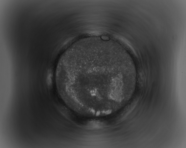 X0000100340596200806191026