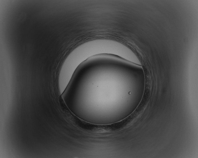 X0000100340597200806191026