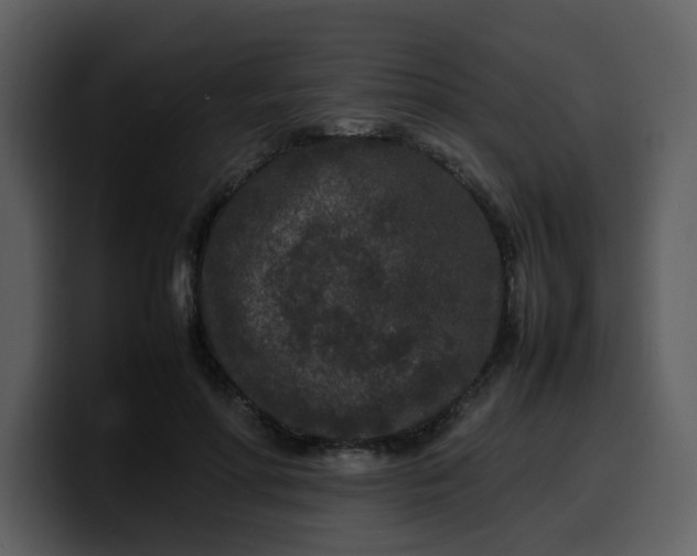 X0000100340598200806191026